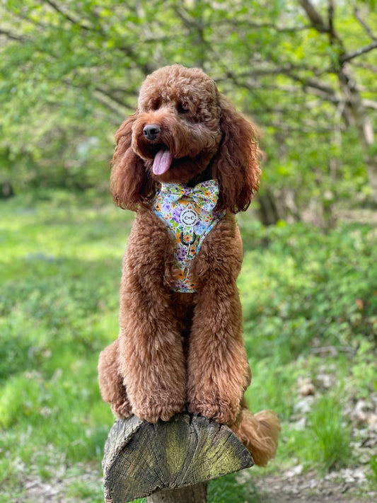 Bow Tie - 'Once Upon A Flower'