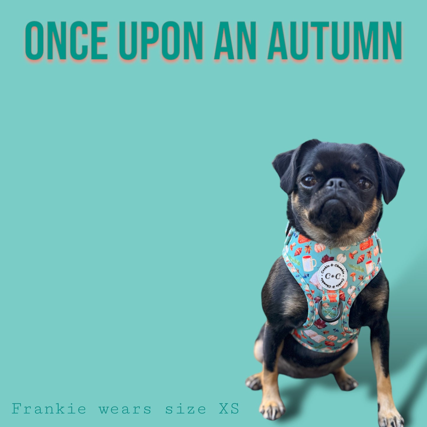 Adjustable Harness - 'Once Upon An Autumn'