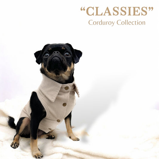 CLASSIES Corduroy Shirt - January