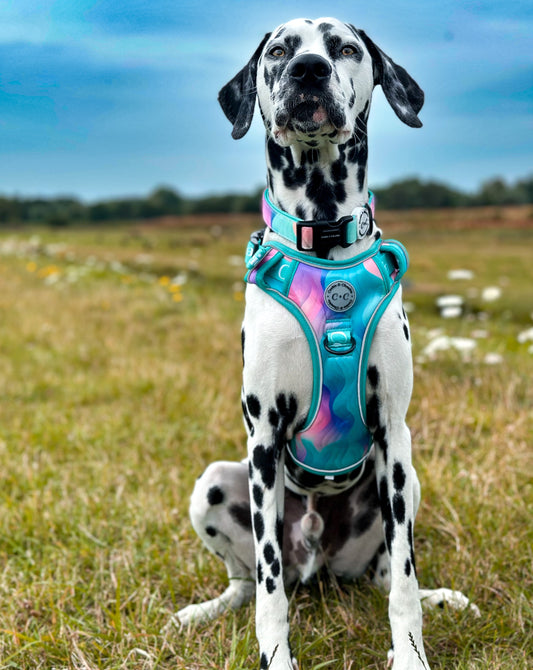 Adjustable TUFF Harness - 'Colours of the Wind'