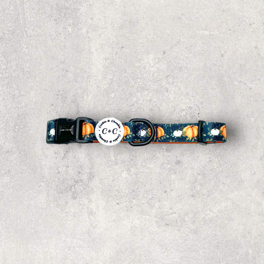 Collar - 'My Little Pumpkin'