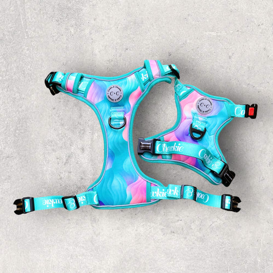 Adjustable TUFF Harness - 'Colours of the Wind'
