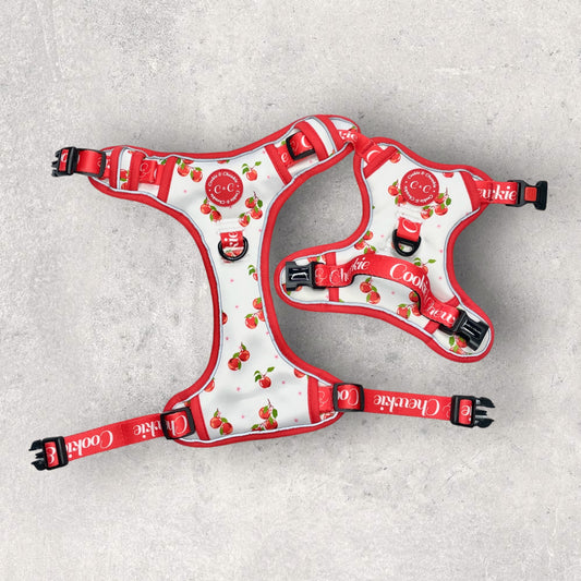 Adjustable TUFF Harness - 'Apple Pawtumn Jeans'