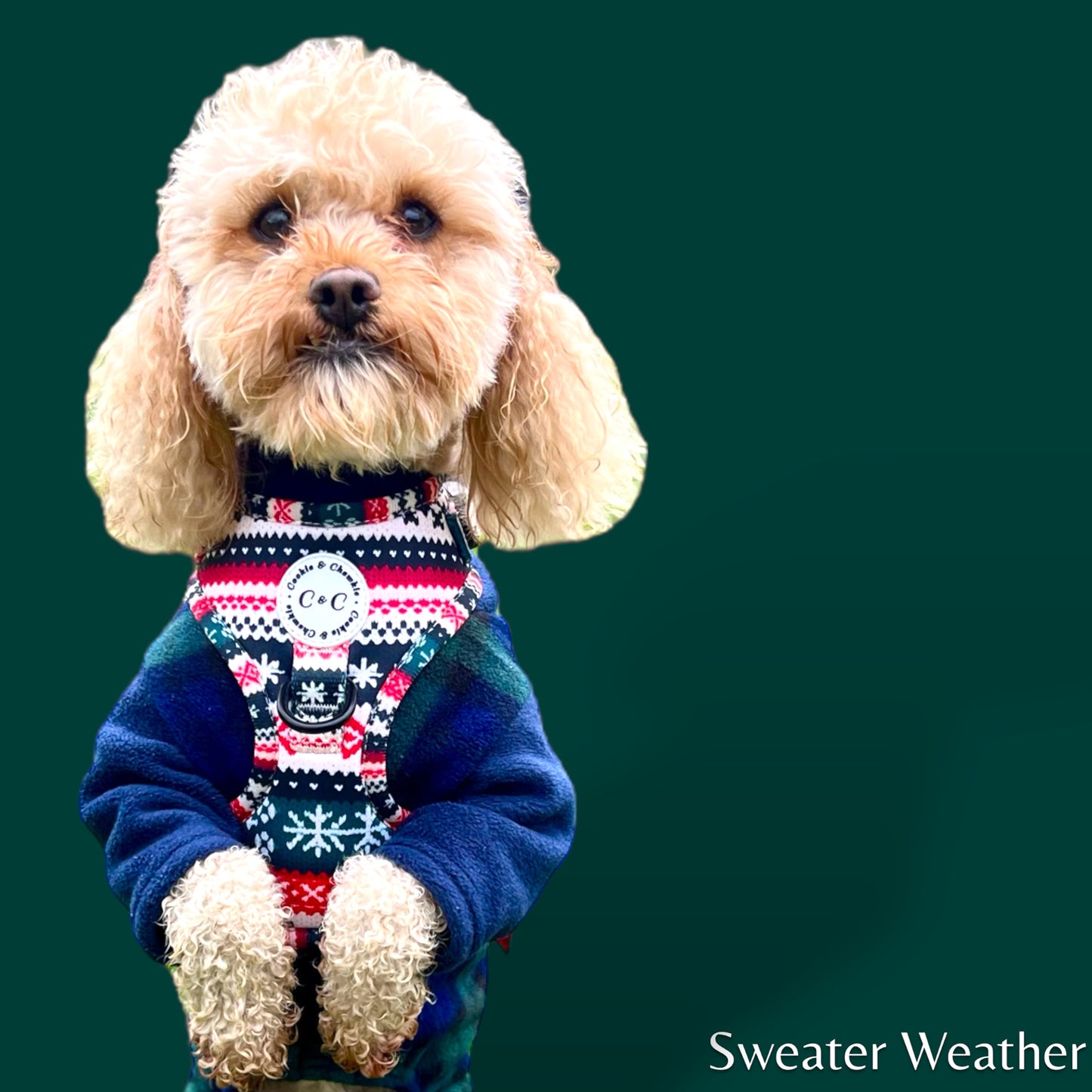 Adjustable Harness - 'Sweater Weather'