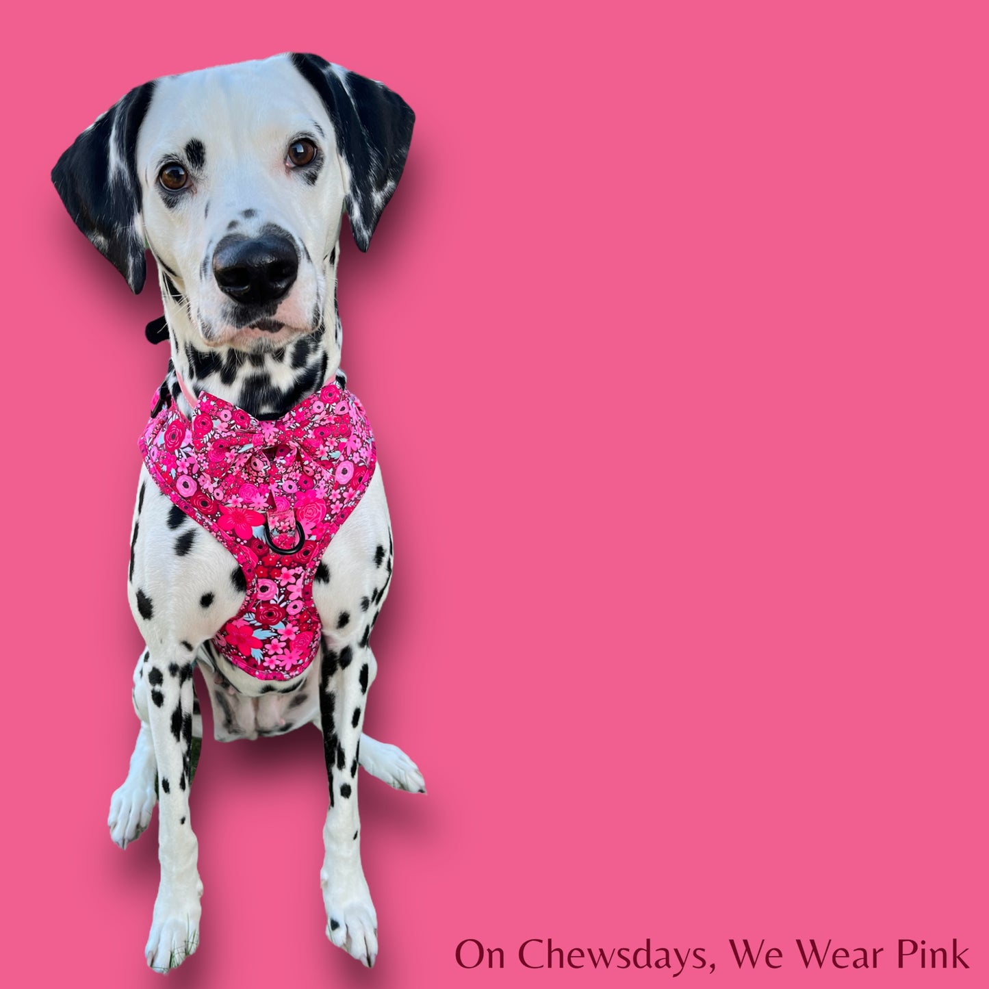 Adjustable Harness - 'On Chewsdays, We Wear Pink'