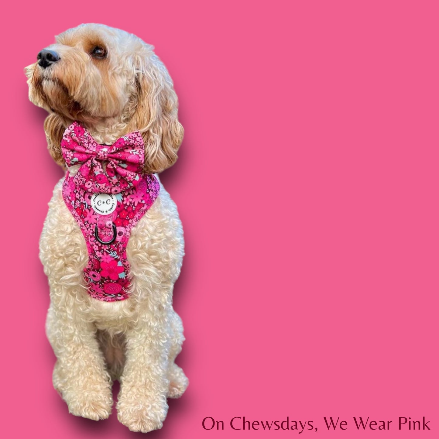 Adjustable Harness - 'On Chewsdays, We Wear Pink'