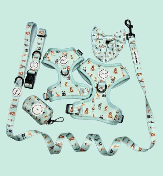 Adjustable harness - 'Circle of Life'
