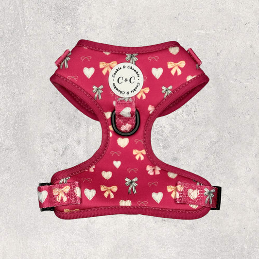 Adjustable Harness - 'My Dainty Love'