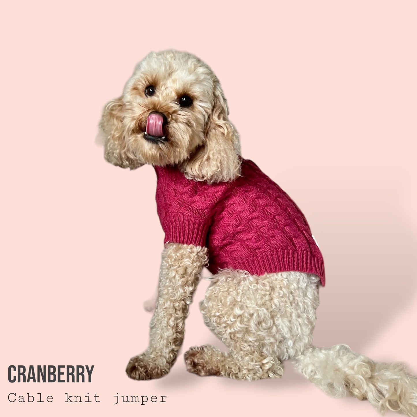 Cable Knit Jumper - Cranberry