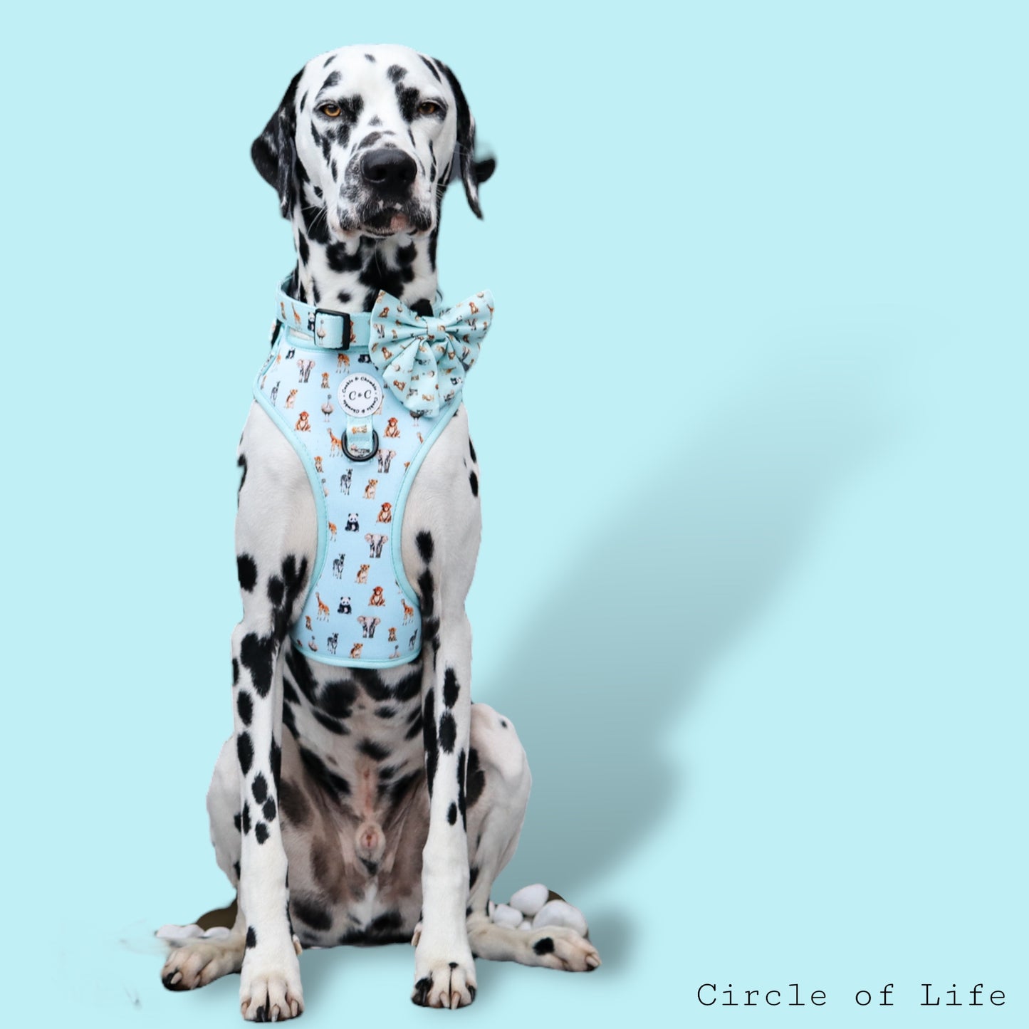 Adjustable harness - 'Circle of Life'