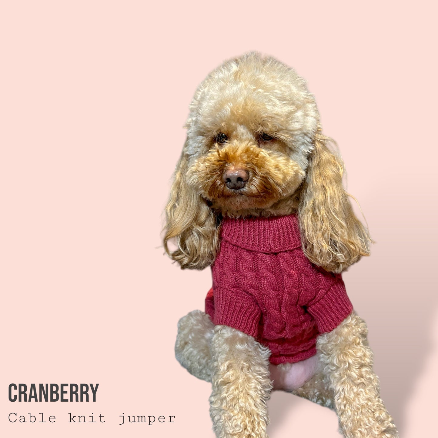 Cable Knit Jumper - Cranberry
