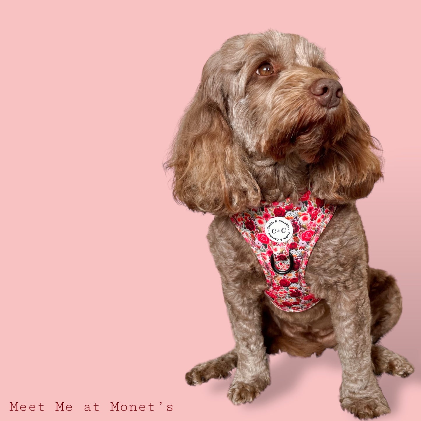 Adjustable Harness - 'Meet Me At Monet's'