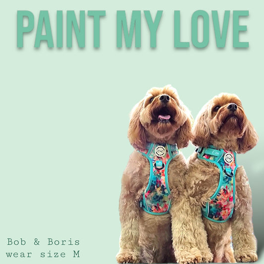 Adjustable TUFF Harness - 'Paint My Love'