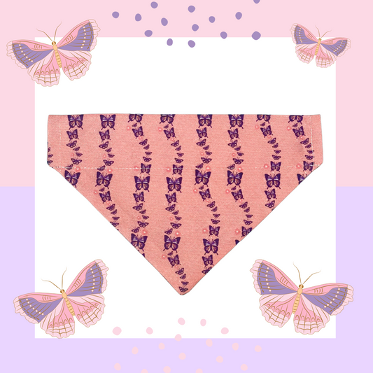 Bandana - "You're My Butterfly"