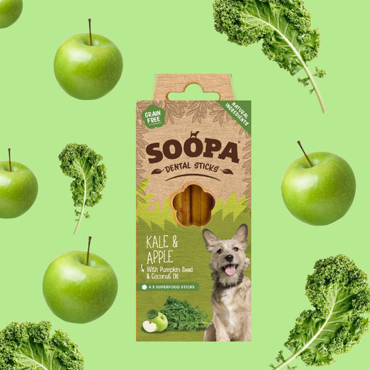 Soopa Dental Sticks Kale and Apple