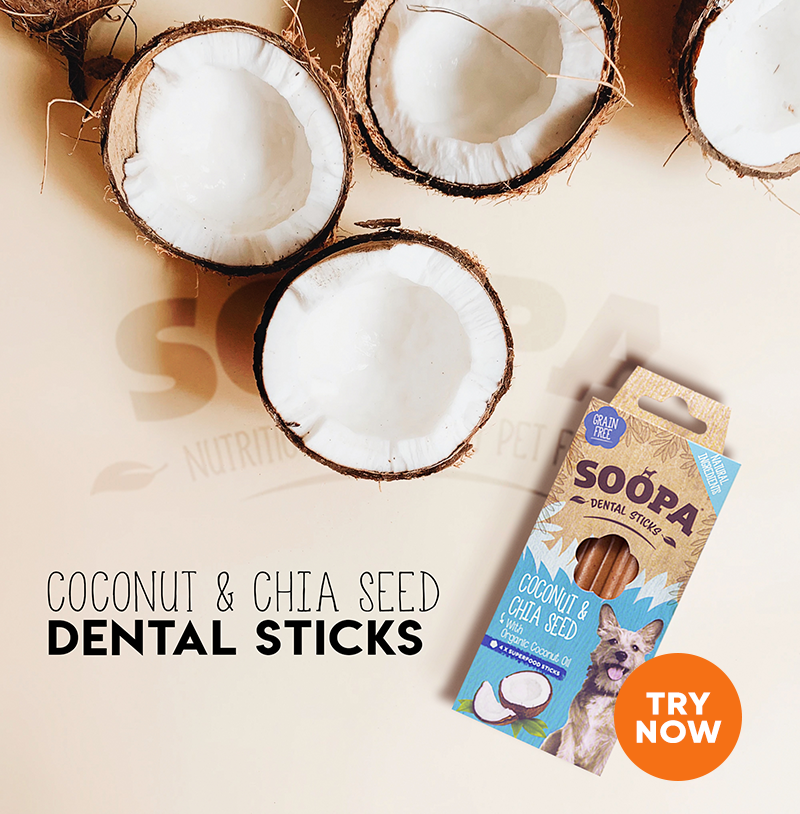 Soopa Dental Sticks Coconut and Chia Seed