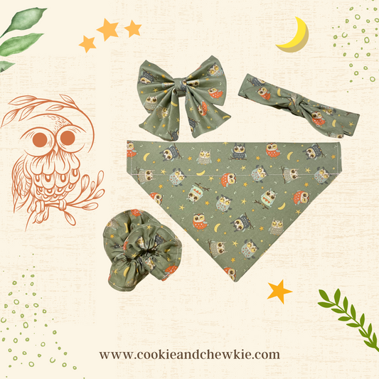 Bow Tie - "Owl Love Ya Forever"